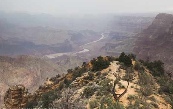 Wild Wild West