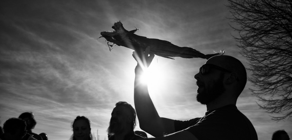 Stockfish Warriors in Liguria